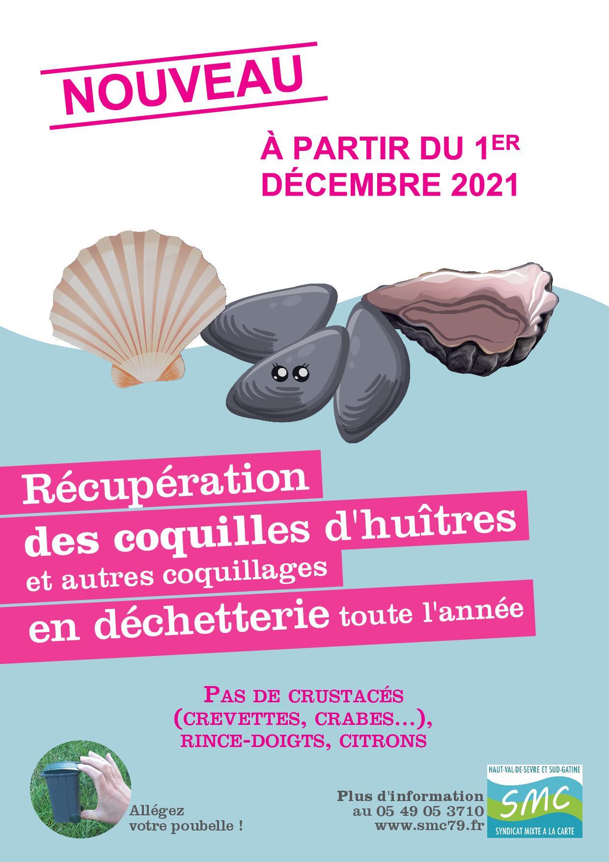 Affiche coquillages v3